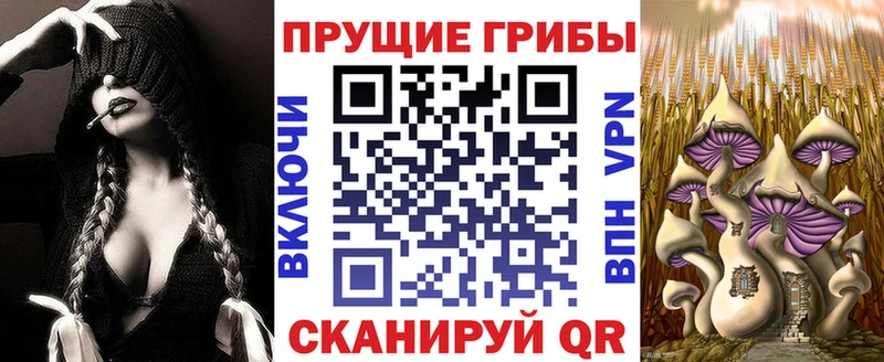 Псилоцибиновые грибы мицелий  Миньяр 